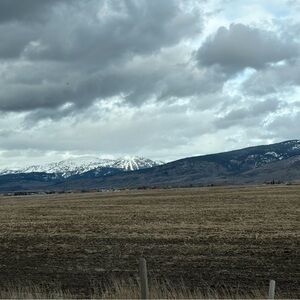 Meet your Posher, Posh